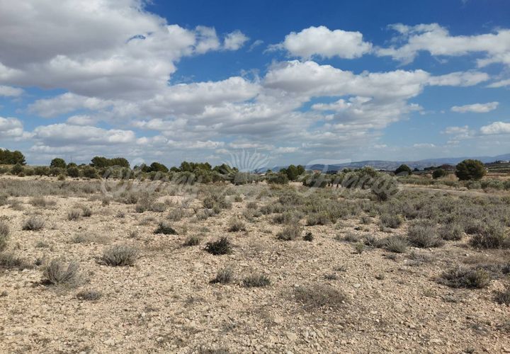 Helårsgrund i Caudete, Albacete, Caudete - € 35.000 | Ref: SF0388 - foto 1
